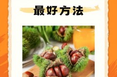 生板栗的储存与保鲜方法，生板栗如何保鲜储藏