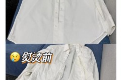 挂烫机可以放精油吗，挂烫机里加香薰精油