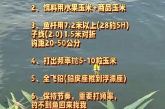 大型水库钓草鱼选取多深的水_水库草鱼一般钓多少米深水
