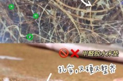 怎么判断椰棕床垫有没有甲醛，棕垫多久就没有甲醛了？