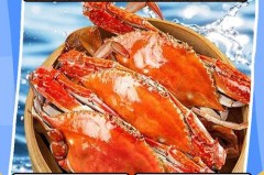 煮熟螃蟹怎么保存方法_煮熟螃蟹的保存办法