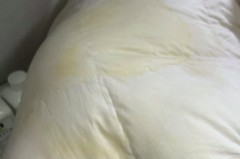 衣服被猫尿了还能要吗，衣服被猫尿了尿味洗不掉？