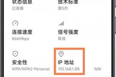 IP是什么，ip是什么的缩写？