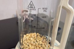 破壁机打豆浆需要过滤吗_破壁机豆浆过滤网多少目比较好用