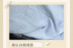 衣服白斑是发霉了吗，衣服起白斑是怎么回事