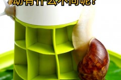 蜗牛冬眠吗?为什么?，蜗牛冬眠吗百度百科