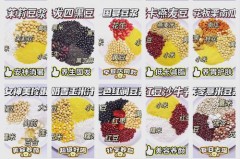 破壁机豆浆为什么不香，为什么我的破壁机打出来的豆浆不黏糊？