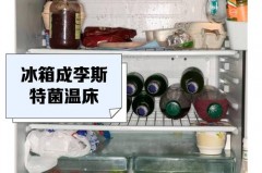 冰箱冷冻层会有细菌吗_冰箱冷冻层会有细菌吗视频