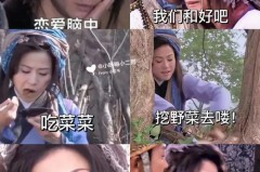 王宝钏挖野菜是什么梗，王宝钏挖野菜梗的出处是什么，王宝钏摘野菜