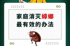 蟑螂胶饵是什么成分_蟑螂胶饵有毒吗,对人体有伤害吗