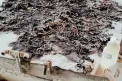 焚烧垃圾会产生大量的什么和有害物质_焚烧垃圾会有什么影响