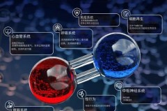 NO是什么气体，VOCS是什么气体？