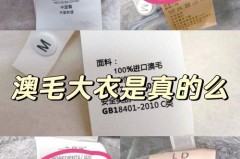 澳毛大衣能用挂烫机吗_100%澳毛大衣能手洗吗