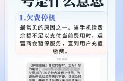 你拨打的电话已暂停服务是什么意思_电话号码停机了怎么恢复