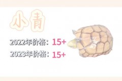 滑雪护具好用还是小乌龟好用_小乌龟滑雪护垫