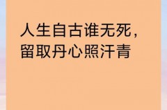 名句留取丹心照汗青中的汗青本意指的是什么，留取丹心照汗青中的汗青是啥意思的简单介绍