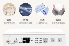 波轮洗衣机有加热的吗，洗衣机波轮好吗