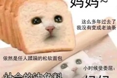 社会的边角料是什么梗网络用语，社会的边界是什么