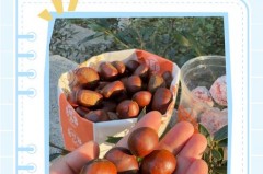 板栗的保存方法冷冻，板栗如何冷冻