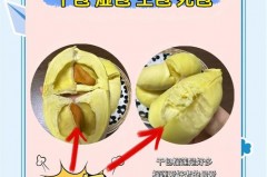 榴莲为什么是臭的，榴莲为什么很臭但很好吃啊？