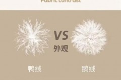 为什么白鹅绒服比白鸭绒服贵，鹅绒为何比白鸭绒贵