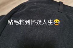 裤子粘毛是质量差吗，裤子黏毛严重