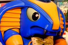 蟑螂恶霸是什么动物_蟑螂恶霸是什么东西