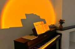 成年人想学电钢琴好学吗_成人初学电钢琴