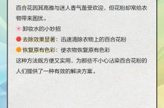 黄色花粉怎么洗，花粉染色了怎么清洗？