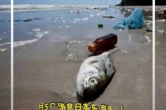 日本核废水排到大海了吗_日本核废水排到大海了吗