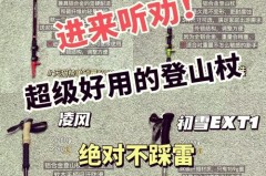 登山杖费用15元能用吗_登山杖多少价位的就可以