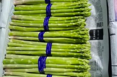 芦笋怎么放的时间长_芦笋怎样存放