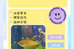 闲鱼曼龙为什么比旗舰店便宜，闲鱼曼龙为什么比旗舰店便宜很多？