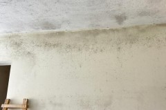 卧室墙面发霉还能睡吗，墙体发霉怎样彻底处理？