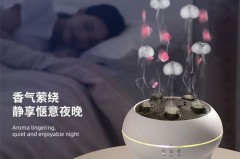 加湿器加入精油对鼻炎有没有影响_加湿器加精油有害吗