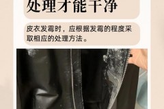 皮衣发霉可以用水洗吗，皮衣发霉可以用水洗吗有毒吗