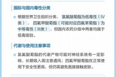 蚊香0.03好还是0.08好_买蚊香选003还是008好