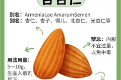 我吃了200颗苦杏仁能死吗，苦杏仁为什么后下，吃几个苦杏仁能中毒？