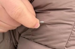 羽绒服掉毛是否羽绒不好_羽绒服掉毛是否假的