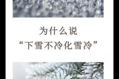 这个冬天会冷吗是什么梗_这个冬天冷嘛