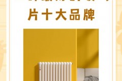 国内比较好的暖气片是啥牌子，国内暖气片排名榜