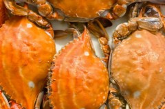 梭子蟹为什么不能清蒸_如何炒梭子蟹