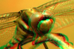 3d眼镜看电视有用吗_3d眼镜在电视上看电影有3d效果吗?