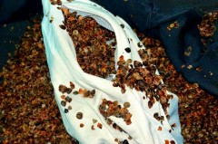 荞麦皮枕头用了30年了还能用吗，荞麦皮枕头用了30年了还能用吗视频