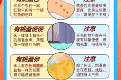 床上被子上的跳蚤的怎么处理，被子上有跳蚤