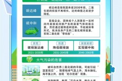 碳排放量对地球气候的直接影响是什么?，碳排放主要对地球哪个方面产生影响？