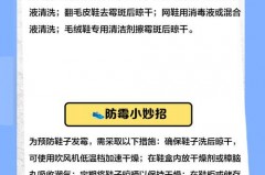 鞋子里面长霉斑怎么洗掉，鞋子里面长霉斑怎么洗掉图片