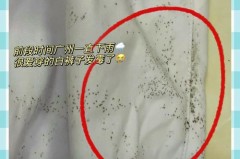 夏天白色t恤发霉怎么处理，白色t恤为什么会发霉