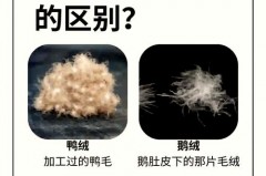 鹅绒服有味道是假的吗，鹅绒服有味道是假的吗还是真的