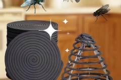 点蚊香消灭蟑螂白天点还是晚上点好_点蟑螂蚊香人在室内怎么办